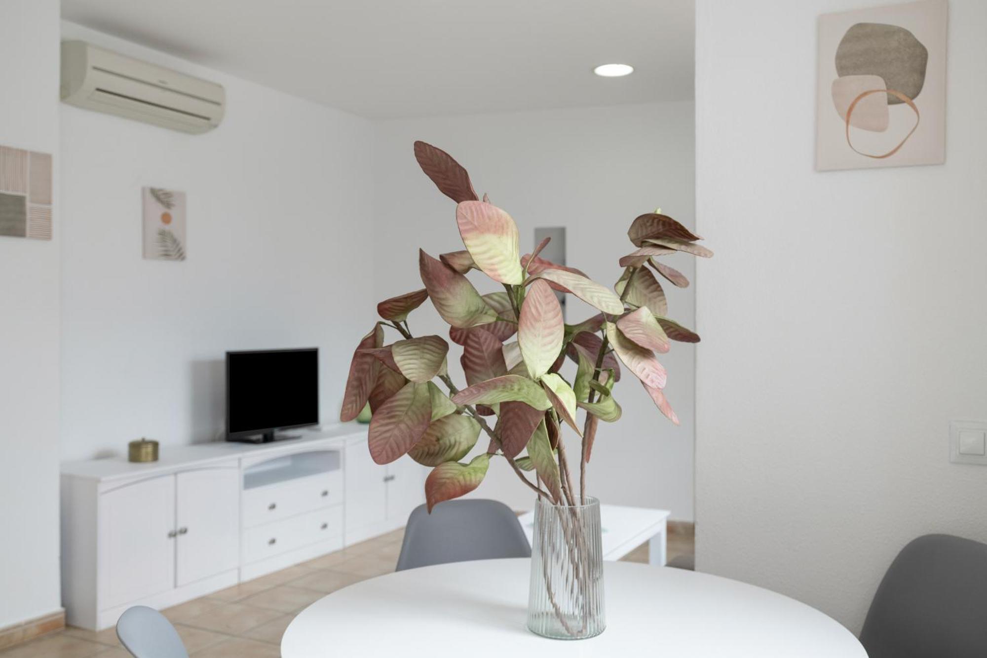 Apartamento Perez Zara 4 Conil De La Frontera Zewnętrze zdjęcie